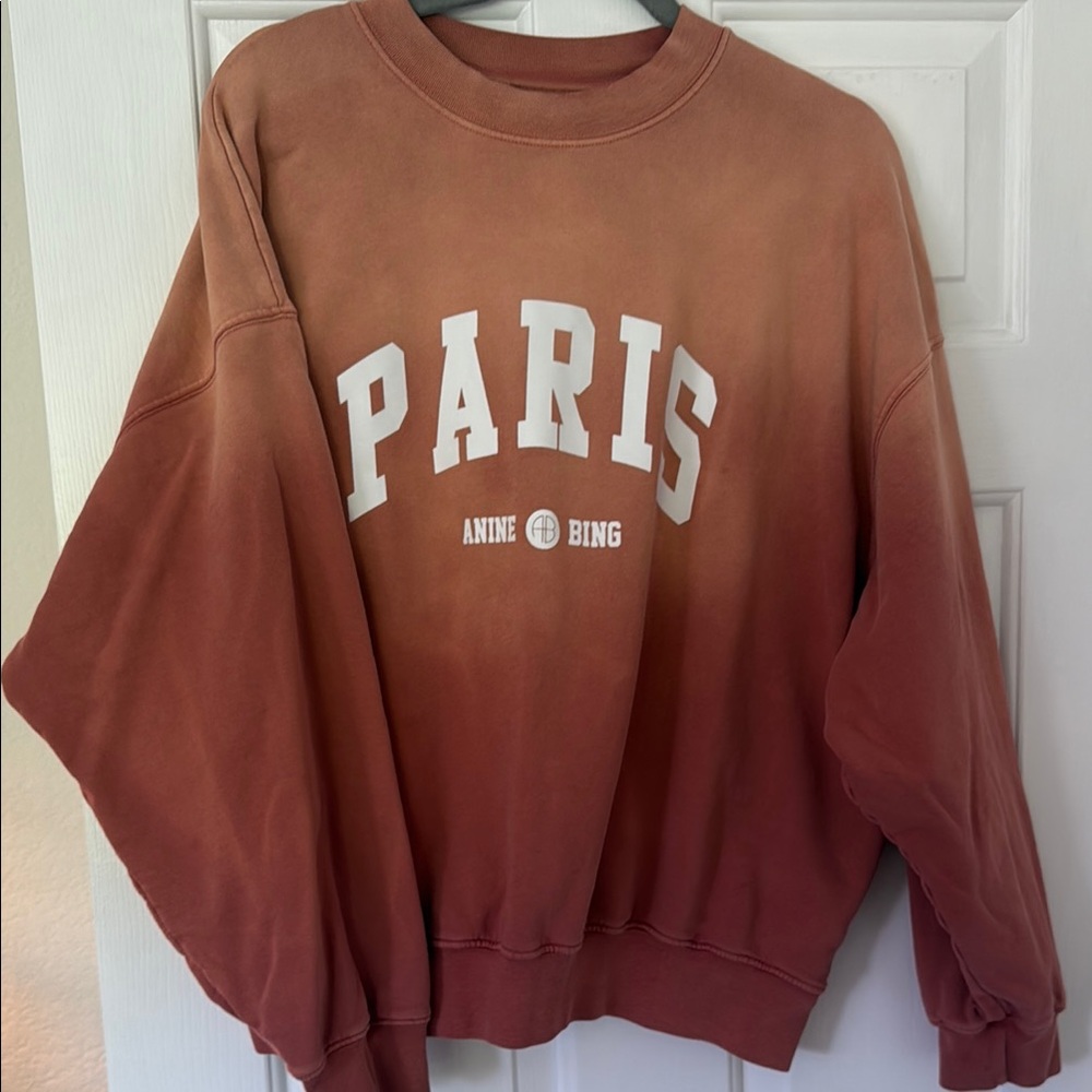 Anine Bing Paris Sweatshirt in Terracotta